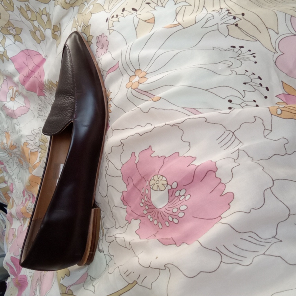 Everlane loafer